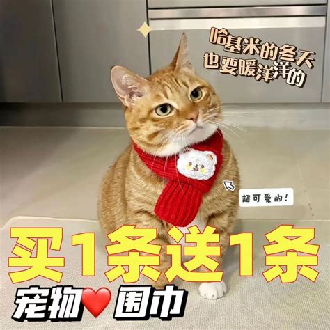 動物品牌衣服|狗狗服裝和配飾